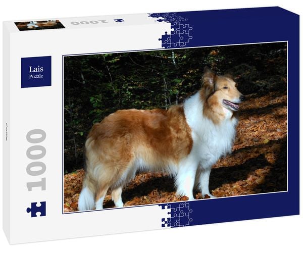 Produktbild: Lais Puzzle Collie 1000 Teile