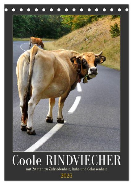 Produktbild: Coole Rindviecher (Tischkalender 2026 DIN A5 hoch), CALVENDO Monatskalender