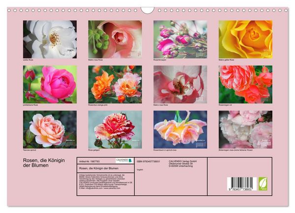 Produktbild: Rosen, die K&ouml;nigin der Blumen (Wandkalender 2026 DIN A3 quer), CALVENDO Monatskalender