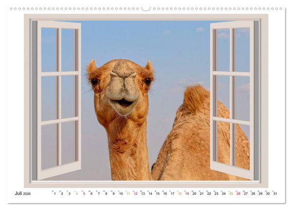 Produktbild: Fenstergucker - tierische Freunde an der Wand (Wandkalender 2026 DIN A2 quer), CALVENDO Monatskalender
