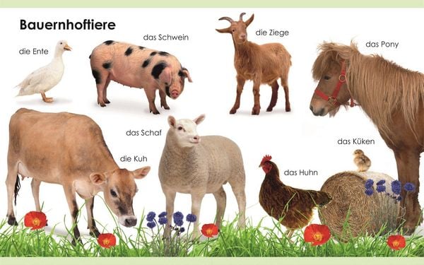 Produktbild: Erstes Lernen mini. Tiere