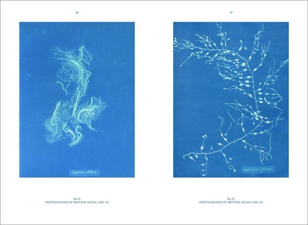 Produktbild: Anna Atkins