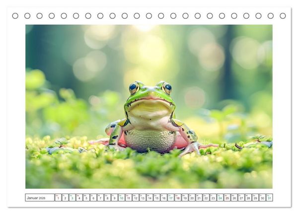 Produktbild: Lustige Amphibienbande (Tischkalender 2026 DIN A5 quer), CALVENDO Monatskalender