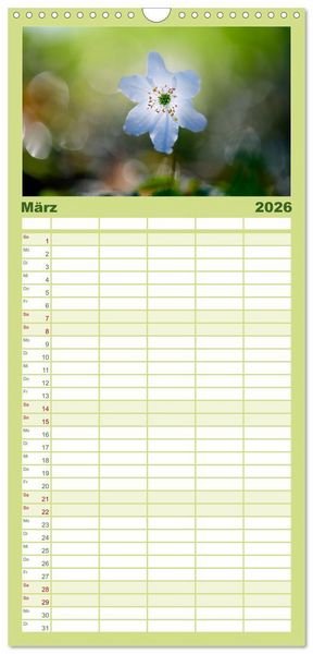 Produktbild: Familienplaner 2026 - Auw&auml;lder bei Enns mit 5 Spalten (Wandkalender, 21 x 45 cm) CALVENDO