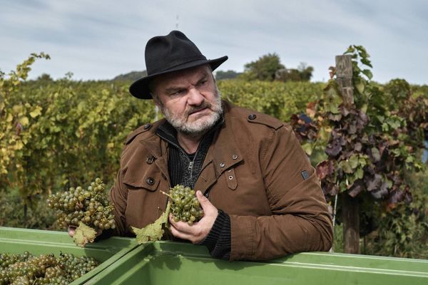 Produktbild: Blind ermittelt: Tod im Weinberg (Folge 8)