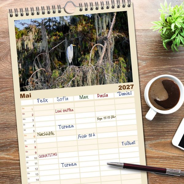 Produktbild: Familienplaner 2027 - Louisiana - S&uuml;mpfe und Plantagenh&auml;user mit 5 Spalten (Wandkalender, 21 x 45 cm) CALVENDO