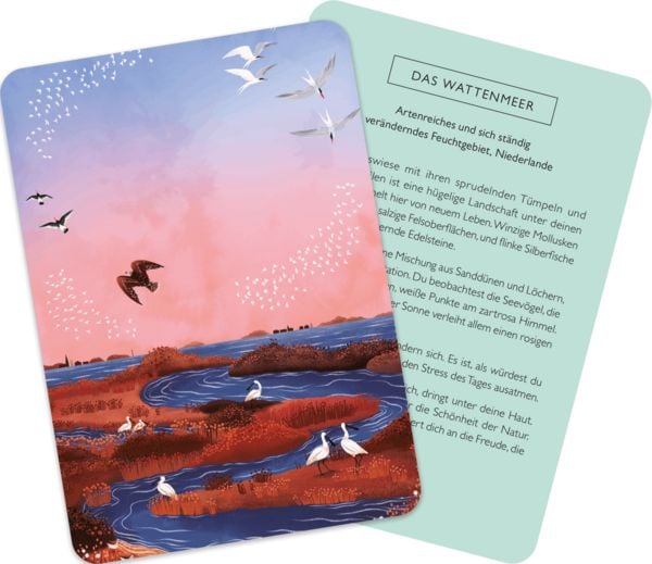 Produktbild: Meditationskarten: Meine innere Reise