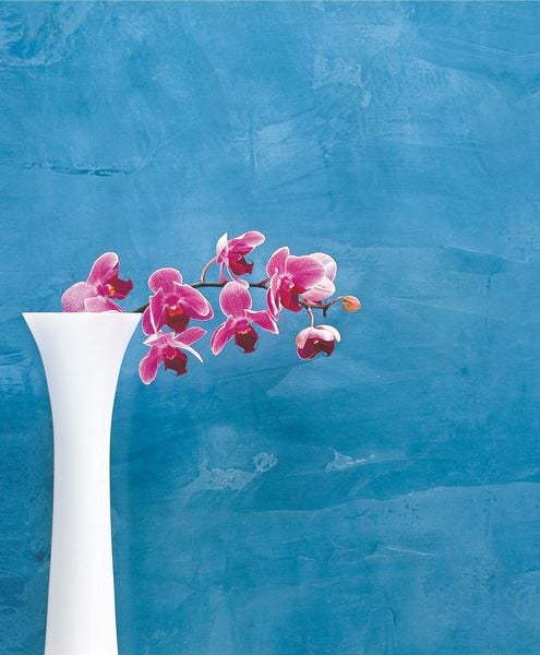 Produktbild: Feng Shui