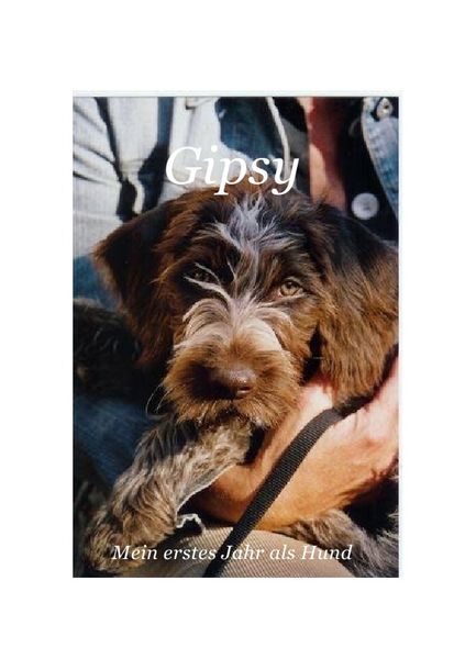 Produktbild: Gipsy - Mein erstes Jahr als Hund