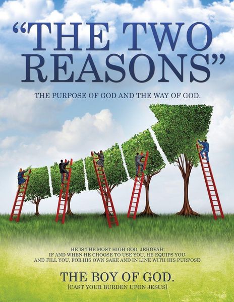 Produktbild: "The Two Reasons"