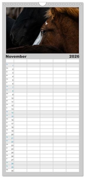 Produktbild: Familienplaner 2026 - Islandpferde Kalender - Pferde von der Insel aus Feuer und Eis mit 5 Spalten (Wandkalender, 21 x 45 cm) CALVENDO
