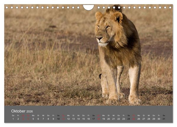 Produktbild: Ich tr&auml;umte von Afrika (Wandkalender 2026 DIN A4 quer), CALVENDO Monatskalender