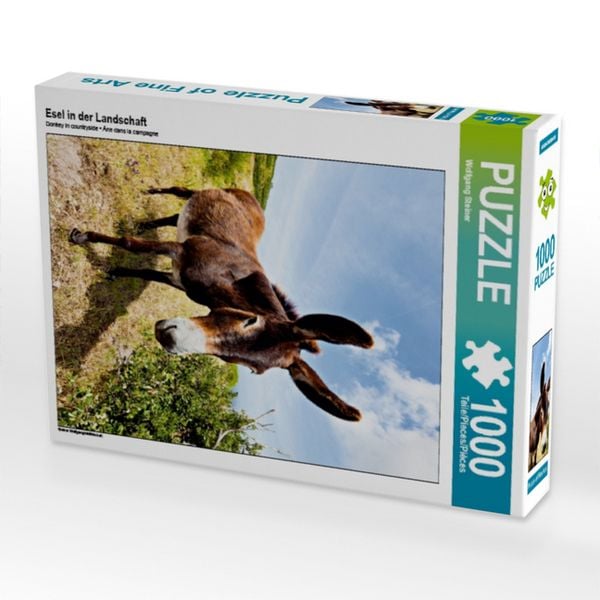 Produktbild: Esel in der Landschaft (Puzzle)