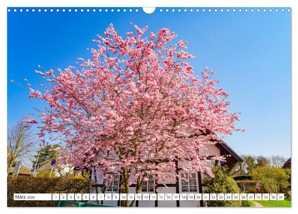 Produktbild: Wustrow Impressionen (Wandkalender 2026 DIN A3 quer), CALVENDO Monatskalender