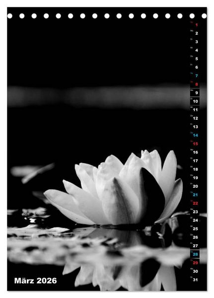 Produktbild: Blumige Graustufen - Schwarz und Wei&szlig; (Tischkalender 2026 DIN A5 hoch), CALVENDO Monatskalender