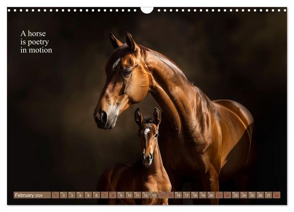 Produktbild: A Horse Makes You Complete (Wall Calendar 2026 DIN A3 landscape), CALVENDO 12 Month Wall Calendar