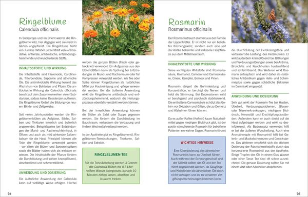Produktbild: Antibiotische Heilpflanzen