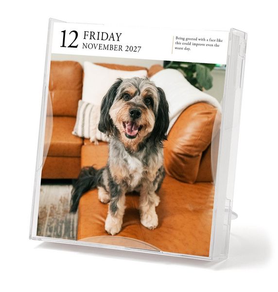 Produktbild: Dog Page-A-Day&reg; Gallery Calendar 2027