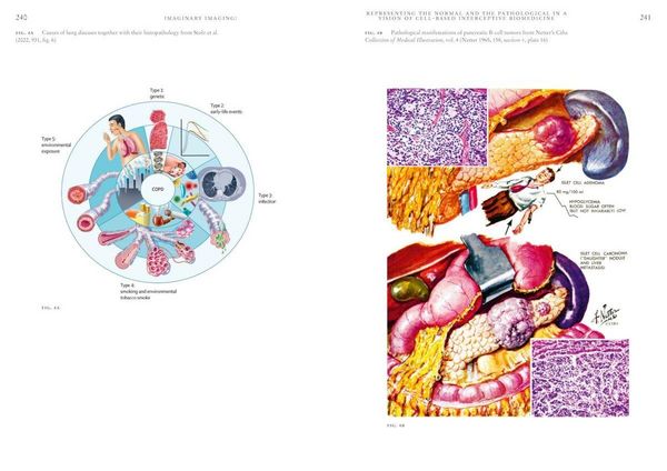 Produktbild: Biomedical Visions