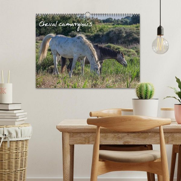 Produktbild: Cheval camarguais (Calendrier mural 2026 DIN A3 vertical), CALVENDO calendrier mensuel