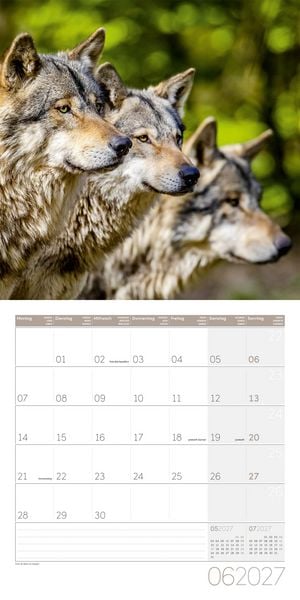 Produktbild: W&ouml;lfe Kalender 2027 - 30x30 - Art12