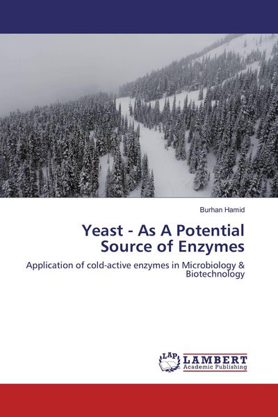 Produktbild: Yeast - As A Potential Source of Enzymes