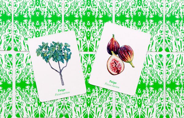 Produktbild: Obst & Gem&uuml;se