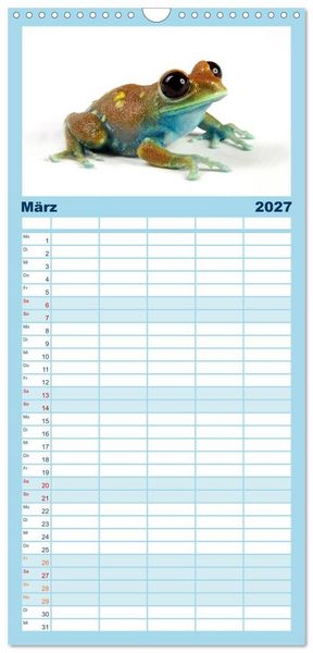 Produktbild: Familienplaner 2027 - Farbenpracht der Fr&ouml;sche mit 5 Spalten (Wandkalender, 21 x 45 cm) CALVENDO