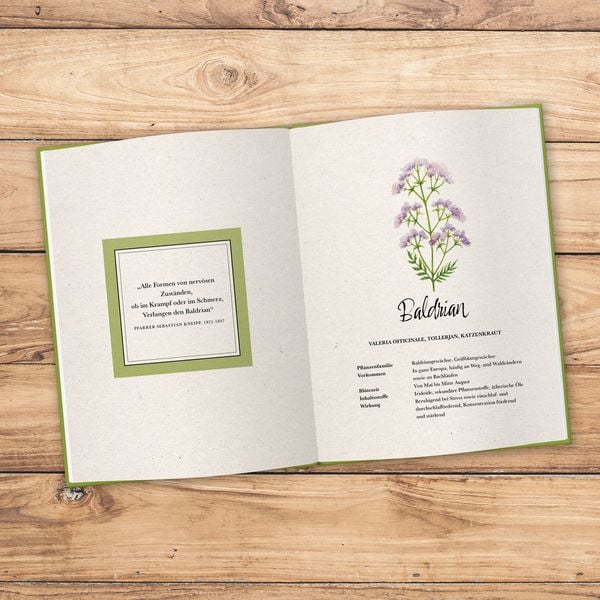 Produktbild: Kostbare Wildkräuter