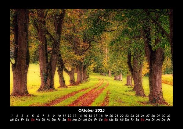 Produktbild: B&auml;ume 2025 Fotokalender DIN A3