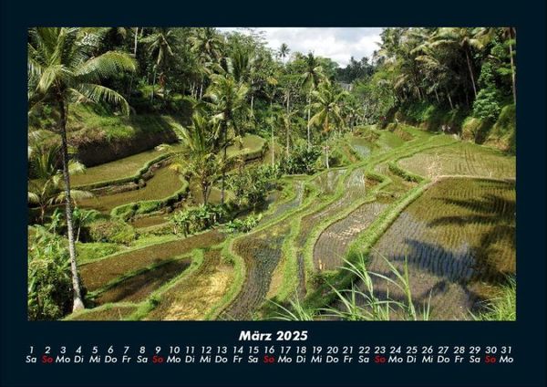 Produktbild: Palmentraum 2025 Fotokalender DIN A4
