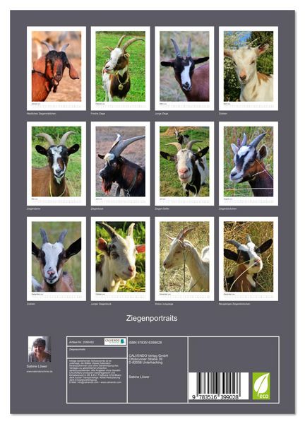 Produktbild: Ziegenportraits (Wandkalender 2026 DIN A4 hoch), CALVENDO Monatskalender