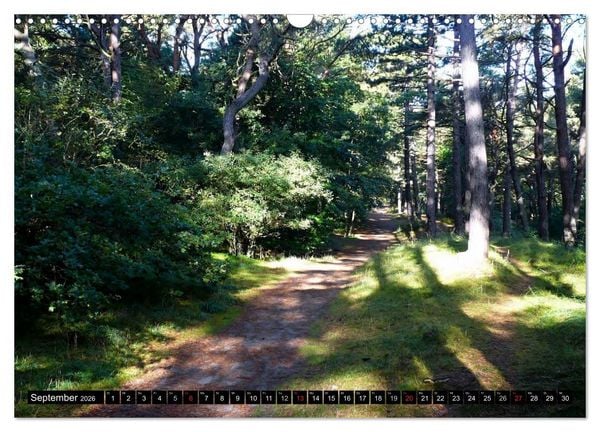 Produktbild: USEDOM - Seeb&auml;der und Naturparadies (Wandkalender 2026 DIN A3 quer), CALVENDO Monatskalender