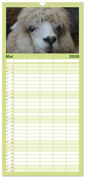 Produktbild: Familienplaner 2026 - Alpakas und Lamas mit 5 Spalten (Wandkalender, 21 x 45 cm) CALVENDO