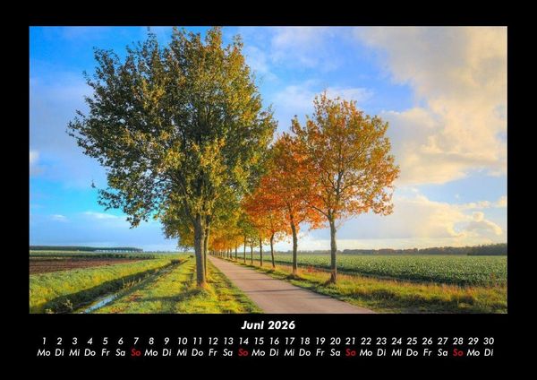 Produktbild: B&auml;ume 2026 Fotokalender DIN A3