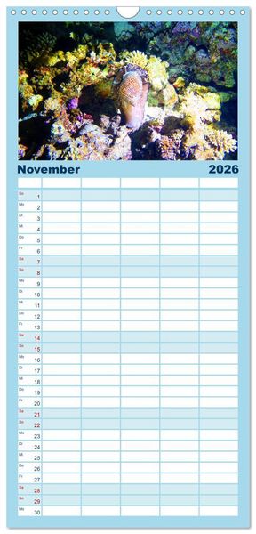 Produktbild: Familienplaner 2026 - Geheimnisvolle Welt unter Wasser - Nachts am Riff mit 5 Spalten (Wandkalender, 21 x 45 cm) CALVENDO