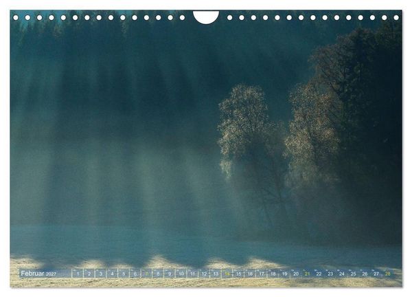 Produktbild: Spaziergang im Wald (Wandkalender 2027 DIN A4 quer), CALVENDO Monatskalender