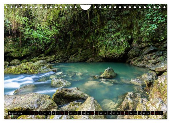 Produktbild: Waldwasser (Wandkalender 2026 DIN A4 quer), CALVENDO Monatskalender