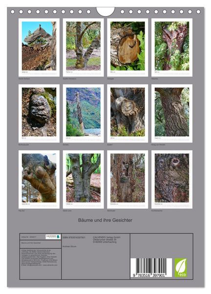 Produktbild: B&auml;ume und ihre Gesichter (Wandkalender 2026 DIN A4 hoch), CALVENDO Monatskalender