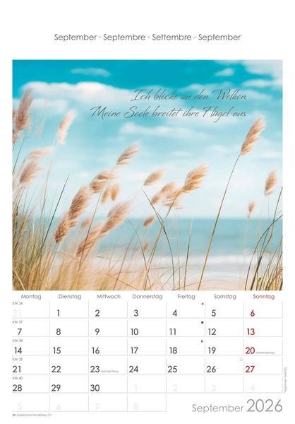 Auszeit für die Seele 2026 - Bildkalender 23,7x34 cm - Kalender mit Platz für Notizen - mit vielen Zusatzinformationen - Wandkalender - Alpha Edition