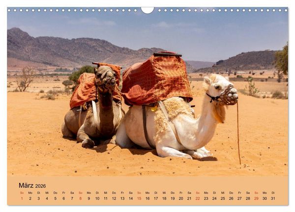 Produktbild: Abenteuer Marokko - eine Reise durch die Region Sous-Massa (Wandkalender 2026 DIN A3 quer), CALVENDO Monatskalender