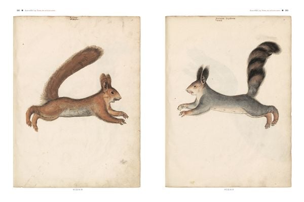 Produktbild: Conrad Gessners Thierbuch