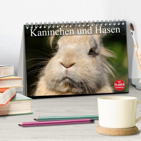 Produktbild: Kaninchen und Hasen (Tischkalender 2026 DIN A5 quer), CALVENDO Monatskalender