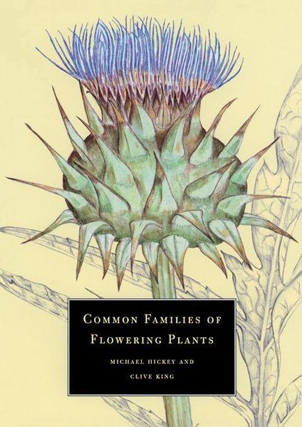 Produktbild: Common Families of Flowering Plants