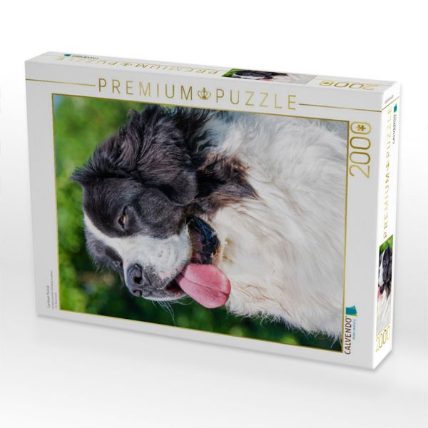 Produktbild: CALVENDO Puzzle Landseer Portr&auml;t | 2000 Teile Lege-Gr&ouml;&szlig;e 90x67cm Foto-Puzzle f&uuml;r gl&uuml;ckliche Stunden