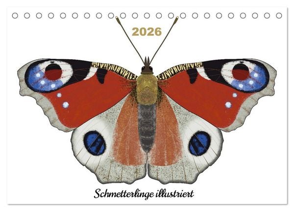 Produktbild: Schmetterlinge illustriert (Tischkalender 2026 DIN A5 quer), CALVENDO Monatskalender