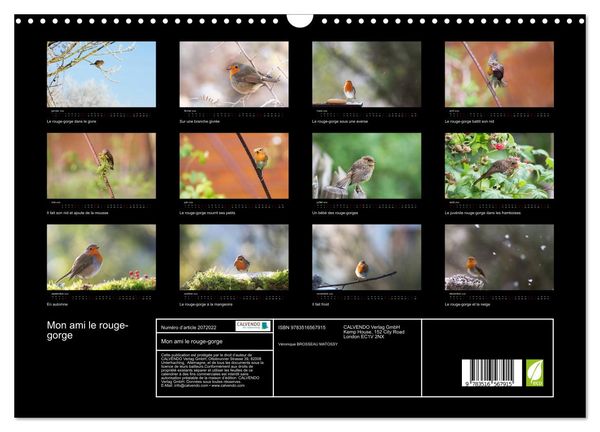 Produktbild: Mon ami le rouge-gorge (Calendrier mural 2026 DIN A3 vertical), CALVENDO calendrier mensuel