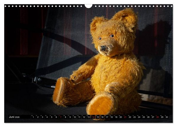 Produktbild: Neue Abenteuer von Teddy Basse (Wandkalender 2026 DIN A3 quer), CALVENDO Monatskalender