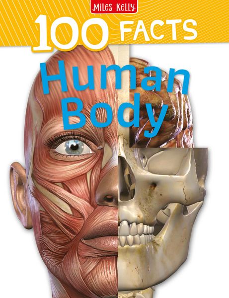Produktbild: HUMAN BODY_100 FACTS PB