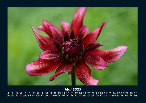 Produktbild: Natur 2025 Fotokalender DIN A4